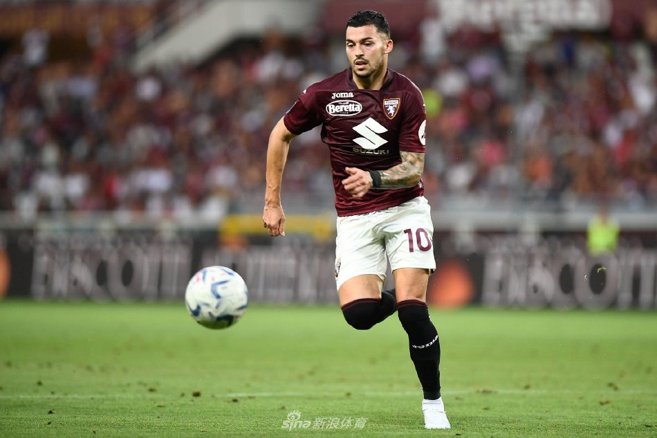 提供了宝贵 提供了宝贵